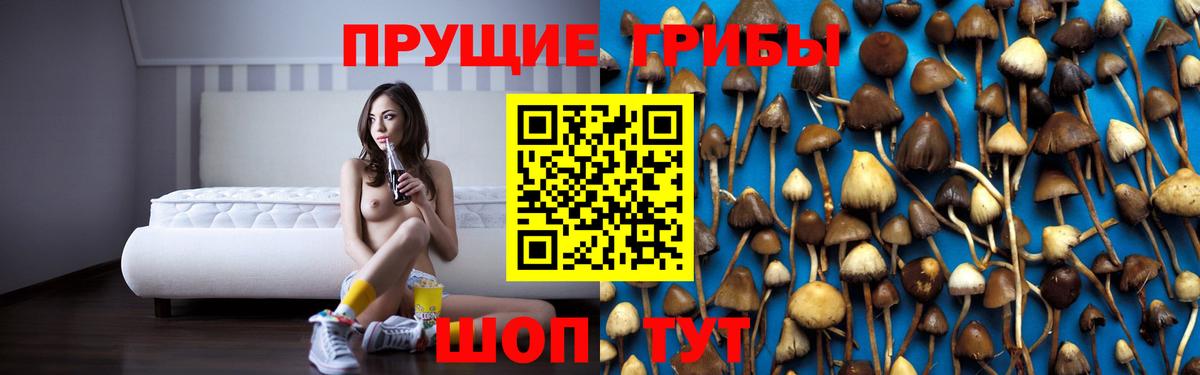 Галлюциногенные грибы ЛСД  Вход с VPN  закладки  Менделеевск  Псилоцибиновые грибы прущие грибы 