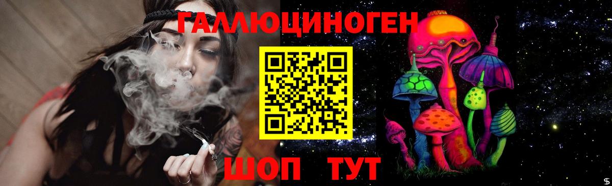 Псилоцибиновые грибы Cubensis Менделеевск